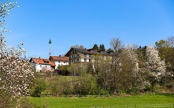 Hotel Palmberger Hof an der Glasstraße im Bayerischen Wald